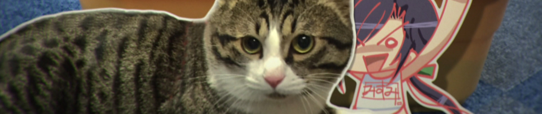 おくさまが生徒会長！「おくさま劇場」