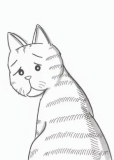 小さな便り、大きな便り。