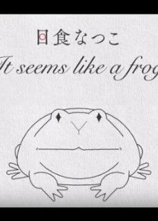 It Seems like a Frog