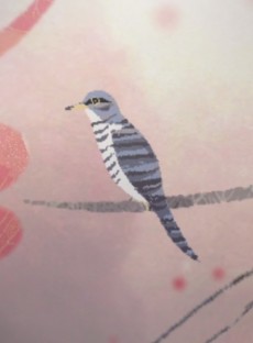 わたしが鳴こうホトトギス