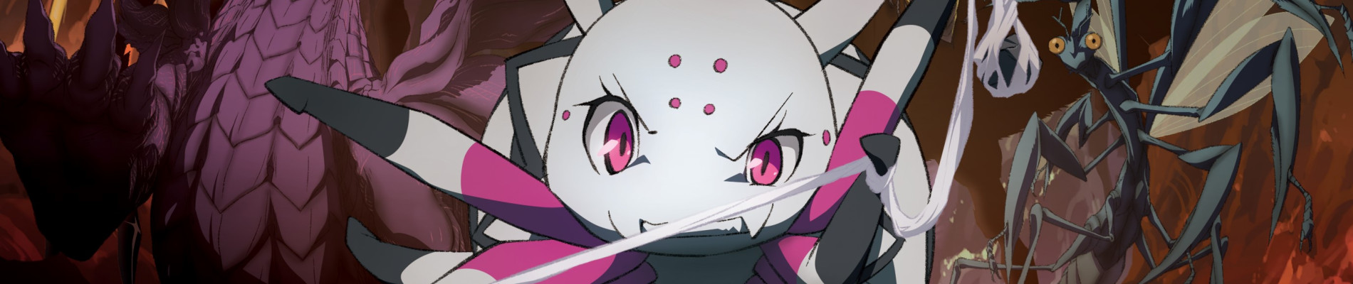 蜘蛛ですが、なにか？