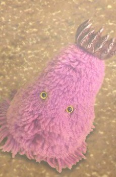 新世紀末 奴との遭遇