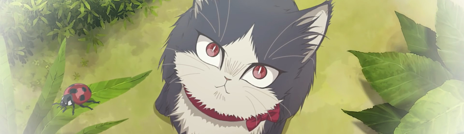 同居人はひざ、時々、頭のうえ。