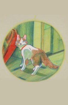 てのひらのにわ