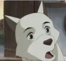 하얀 마음 백구