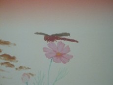 SONODA Video: Spring / Summer / Fall / Winter