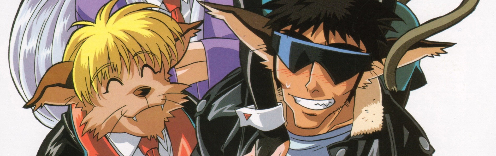 はいぱーぽりす