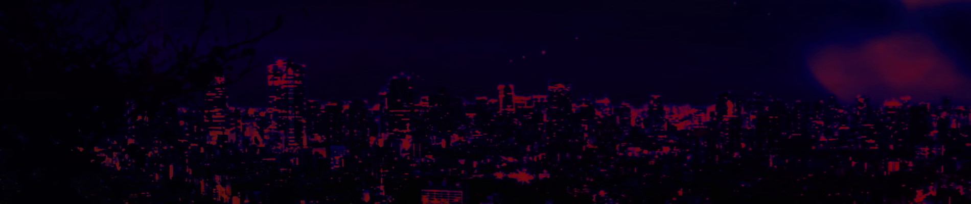 忍者コレクション