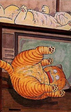 ホワッツマイケル?