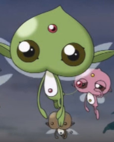 白石の妖精ぴち