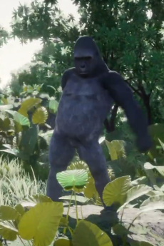 渚のブラジリアン