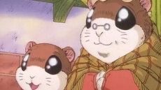 やさしさの玉手箱