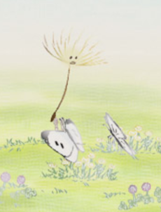 わたげのお散步