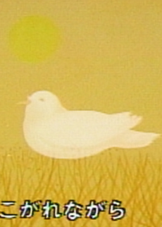 鳩の詩