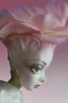 誰かがサズを弾いていた