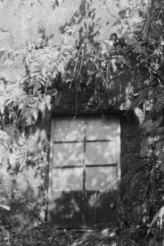 マイ・シェルター