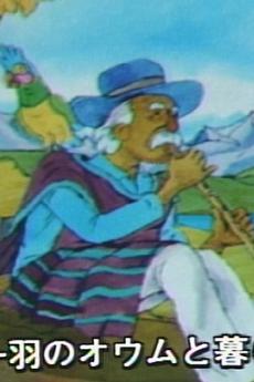 モンキーパズル