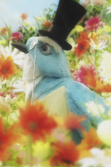 ギンガムチェックの小鳥