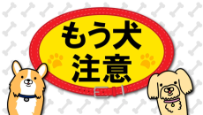 もう犬注意