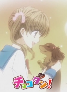 チョコタン!