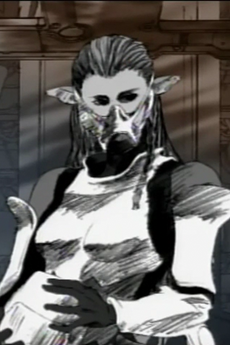 G.R.M. ～THE RECORD OF GARM WAR～