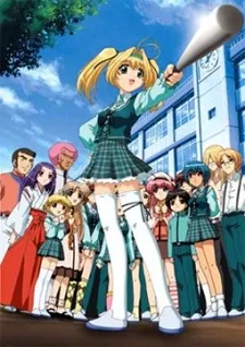 メイプルカラーズ