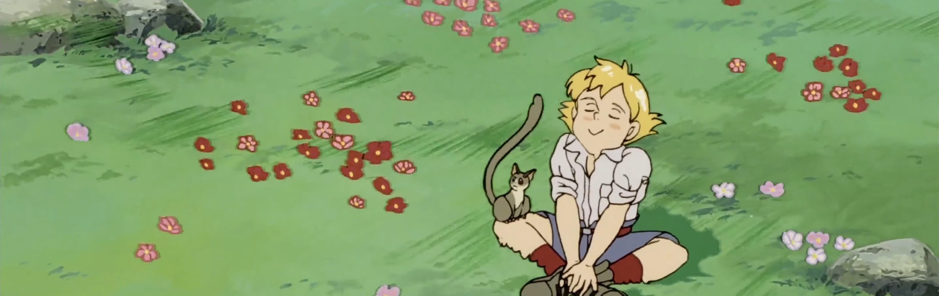 大草原の小さな天使　ブッシュベイビー