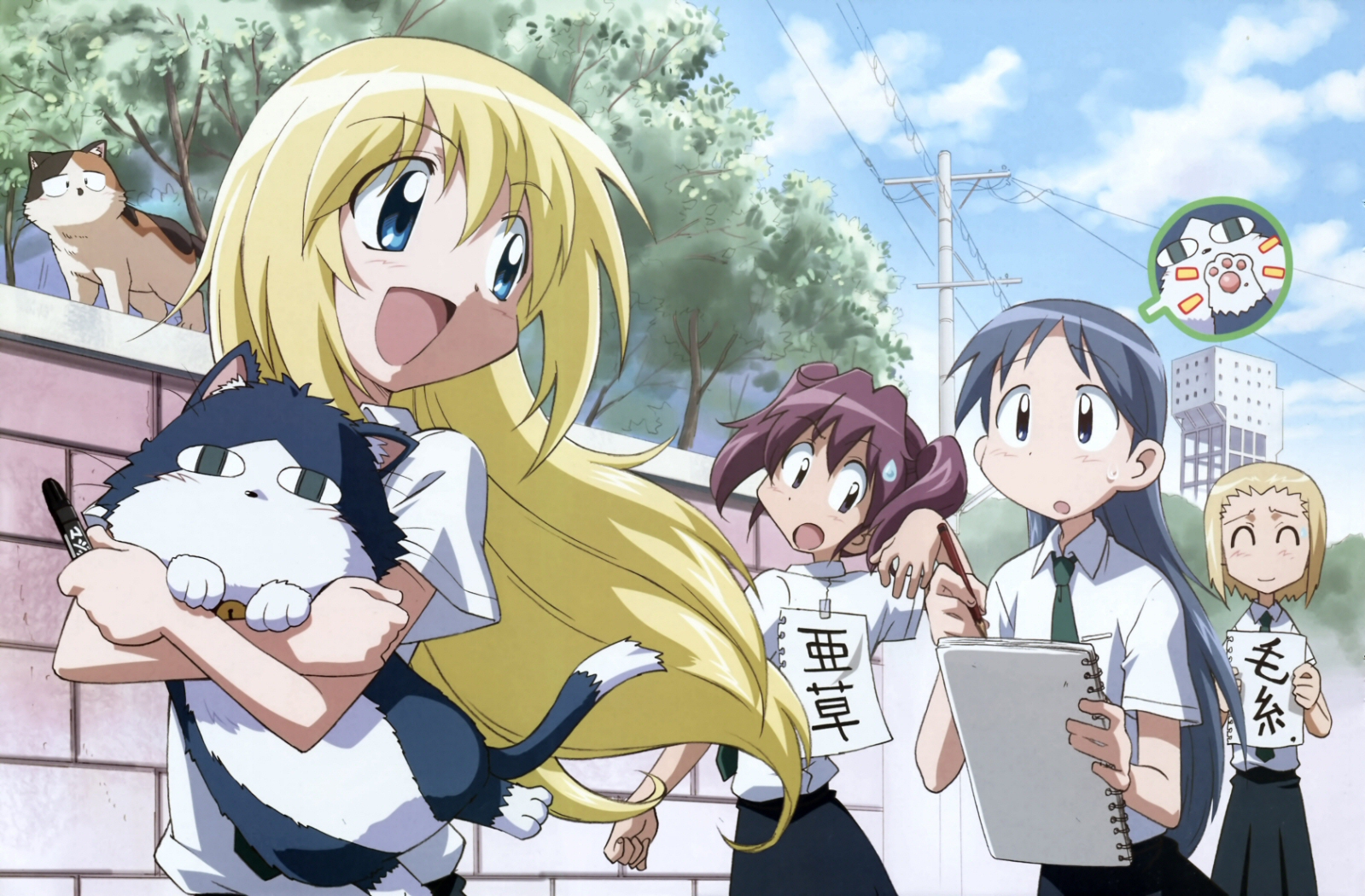 スケッチブック 〜full color's〜