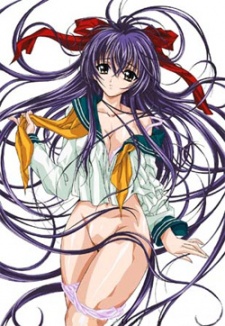 ブラインドナイト