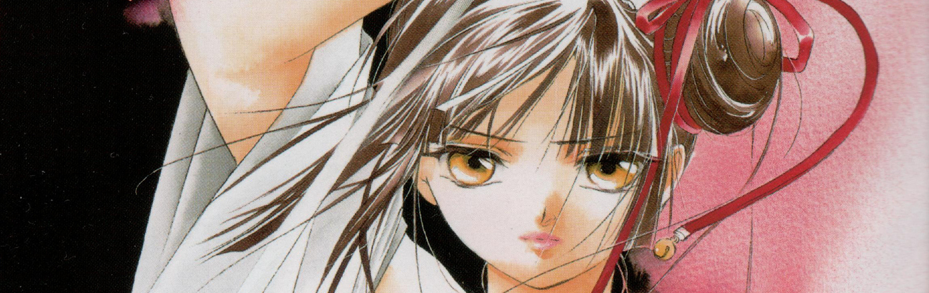 吸血姫美夕 (TV)