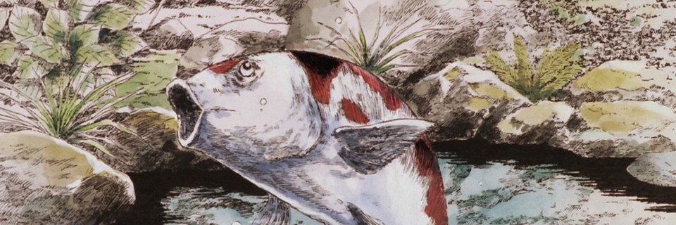 美味しんぼ 究極対至高 長寿料理対決!!