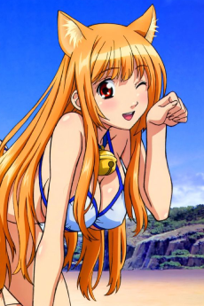 あそびにいくヨ! あそびにおいで