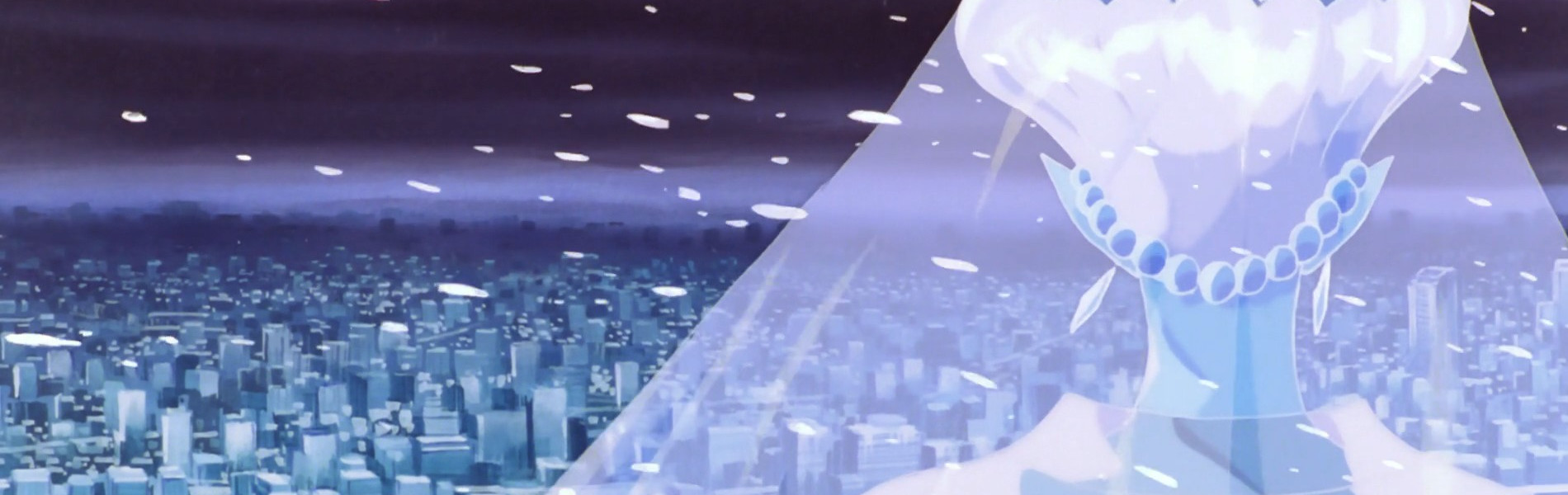 美少女戦士セーラームーンS かぐや姫の恋人