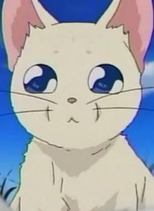 岩崎ショーグン