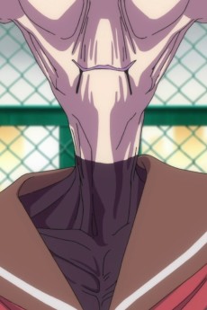 キララロドリゲスマチュード18世宵の明星SSプラン