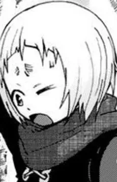 ナノー・リーフ