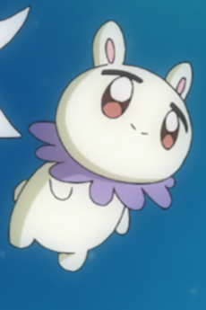 フラワーペット