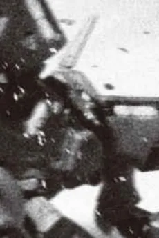 マルコ・ファーナー