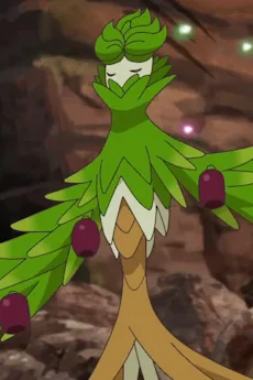 ルシアス‎のオリーヴァ