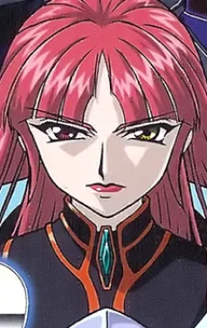 レビ・トーラー