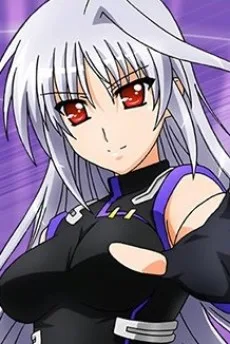 リインフォース