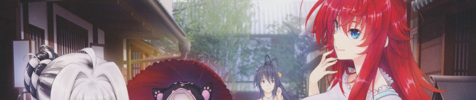 真ハイスクールＤ×Ｄ