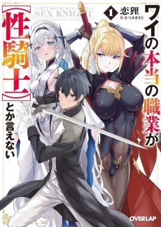 ワイの本当の職業が【性騎士】とか言えない