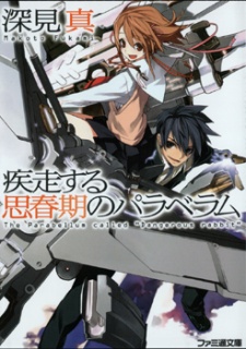 疾走する思春期のパラベラム