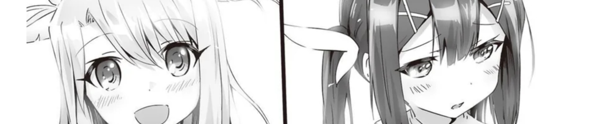 Fate/kaleid liner プリズマ☆イリヤ