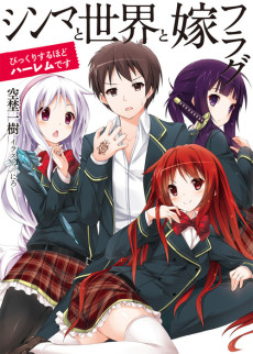 シンマと世界と嫁フラグ