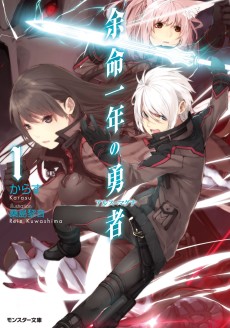 余命一年の勇者（アルス・マグナ）