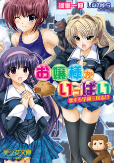 お嬢様がいっぱい 恋する学園三国志!?