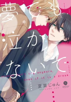 夢でも泣かないで