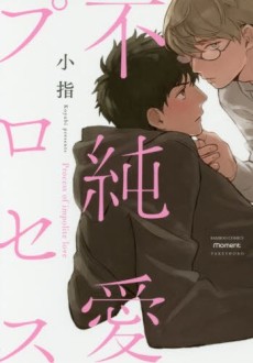 不純愛プロセス